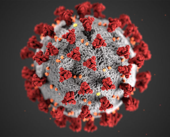 Imagem do Coronavírus
